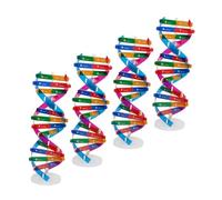 FUNNETOYU 4pcs Dna Double Helix Genes Structure Model Kit DIY Human Gene Molecular Teaching Aid Sturdy Biological Science Educational Tool for Classroom Learning and Interactive Science