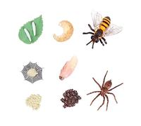 FUNNETOYU 8Pcs Insect Growth Bee Spider Display Models for Educational Nature Learning for Preschool Science and Imaginative Play