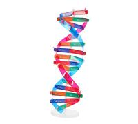 FUNNETOYU DNA Double Helix Model Kit for Boys and Girls Educational Science Toy for Biology Classrooms Self-Assembling DNA Structure Interactive Learning Aid for Schools and Labs