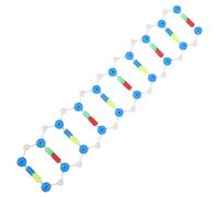 FUNNETOYU Double Helix Dna Model Educational Kit Molecular Biology Teaching Aid Self Assembling Structure for Science Learning for Classroom Home Education
