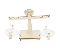 FUNNETOYU Stem Balance Scale Learning Kit Educational Science Model Assembly for Ages DIY Hand Eye Coordination Intellectual Development Craft