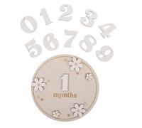 FUNNETOYU Wooden Monthly Cards Set White Daisy Design, Newborn Monthly Signs for Boy, Growth Photo Marker Plaques for Memory Recording