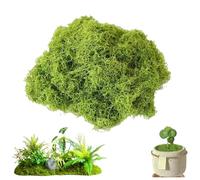 Funngy Fake Moss, 50 G Artificial Moss for Indoor Plant Pots Faux Moss for Crafts Christmas Decor Landscaping Floristry Wreath Making Model Making and More