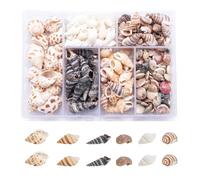 Funngy Small Sea Shells,100 PCS Mixed Sea Shells Mini Mixed Sea Shells Decorative Sea Shells Crafts Sea Shells Ocean Theme Shells Beach Seashells for DIY Craft Making Wedding Decorations