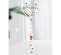 Funnli Gifts for Him/Her, Heart-Shaped Acrylic Crystal Suncatcher Couple Gifts, I Love You Gifts, Birthday, Valentines Day, Anniversary, Wedding Gifts for Boyfriend/Girlfriend