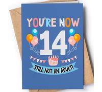 Funny 14th Birthday card for boy or girl with envelope | Unique and original card for son, daughter, grandson or granddaughter | You're 14 Now