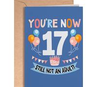 Funny 17th Birthday card for boy or girl with envelope | Unique and original card for son, daughter, grandson or granddaughter | You're 17 Now