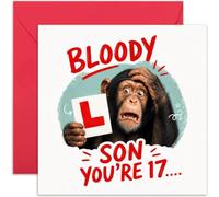 Funny 17th Birthday Card For Son - Chimpanzee With L Plate Driver Design - Humorous Photographic Card - Blank Inside With Envelope