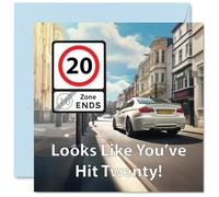 Funny 20th Birthday Cards for Men Woman - You've Hit Happy Birthday Card for Brother Sister Son Daughter Friend Colleague Uncle Auntie, 145mm Joke Banter Bday Greeting Cards