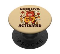 Funny 67 Meme Year of the Horse Chinese Zodiac PopSockets Adhesive PopGrip