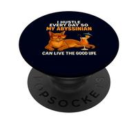 Funny Abyssinian I Hustle Every Day Cat Mom Dad PopSockets Adhesive PopGrip