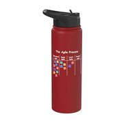 Funny Agile Process AOE Project Process Management Stainless Steel Insulated Water Bottle