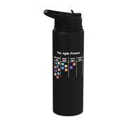 Funny Agile Process AOE Project Process Management Stainless Steel Insulated Water Bottle