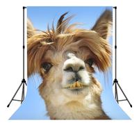 Funny Alpaca Llama Print Photo Studio Background 5x7ft Soft Photo Backdrop Curtain For Studio Content Creator Equipment