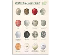 Funny Aluminum Tin Sign Evolution Of The Golf Ball Golf Club Science Wall Decor Golfers Collectible Tin Plaque Decoration Home Cave Bar Golf Knowledge Poster