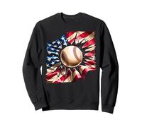 Funny American Baseball Humor USA Flag Baseball Lover Sweatshirt