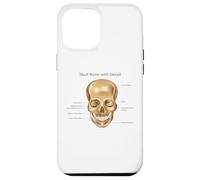Funny Anatomy Head Bone Human Anatomical Science Education Case for iPhone 12 Pro Max