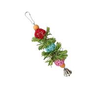 Funny and Attractive Bird Chew Toy Colorful Sepaka and Corn Shells Love the Durability of Chewing to Attract Little Parrots