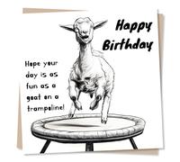 Funny and Sweet Happy Birthday Card For a Loved One - Have So Much Fun - Goat, Animal, Funny, Humour - For a Special Someone, Relative, Husband, Wife, Child, Grandchild, Other
