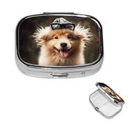 Funny Animal Dog Pill Case with Mirror Retro 2 Compartment Pill Box Small Pill Organizer for Purse or Pocket Decorative Metal Medicine Vitamin Organizer Unique Gifts