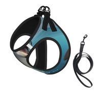 Funny Animal Dolphin Print Dog Harness Leash Set Reflective Pet Harness Puppy Vest Suitable Dogs Cats Small Breeds