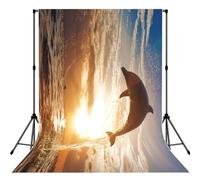 Funny Animal Dolphin Print Photo Studio Background 5x7ft Soft Photo Backdrop Curtain For Studio Content Creator Equipment