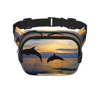 Funny Animal Dolphin Unisex Adjustable Waist Square Double Layer Waist Pack for Outdoor Activities Travelling Running Hiking