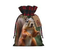 Funny Animal Squirrel Christmas Candy Bag, Reusable, Christmas Bag For Christmas Birthday Party