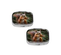 Funny Animal Squirrel Pill Box 2 Compartment Medicine Pill Case,Travel Pill Organizer, Small Metal Pill Case Portable Pill Box, Perfects Gift for Anyone in Need