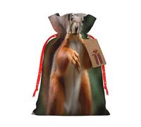 Funny Animal Squirrel -Print Burlap Drawstring Bags - Eco-Friendly Reusable Pouches For Wedding Favors, Christmas & Birthday Presents.