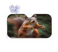Funny Animal Squirrel -Print Reflective Windshield Sun Shade For Cars M Size - Heat Resistant Suction Cups, Universal Fit.