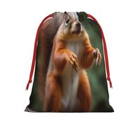 Funny Animal Squirrel -Print Soft Drawstring Gifts Bags Pouches For Wedding Favors & Party Events, Bulk Storage (Multi-Use) S Size