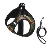 Funny Animal Squirrel Small Pet Harness Vest - Full Print Design, Adjustable and Reflective for Safety, Suitable for Small Cats and Dogs Pet leash vest