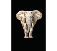 FUNNY ANIMALS AFRICAN ELEPHANT