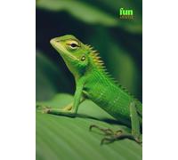 Funny Animals - Common Green Forest Lizard: Motivational and inspirational notebook for animal lovers with positive affirmations; a fun gift for friends, co-workers, bosses and employees