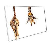 Funny Animals giraffe Art Canvas Wall Art print on canvas Picture for Home Office Decor 45x30cm (18x12In)