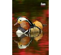 Funny Animals - Mandarin Duck: Motivational and inspirational notebook for animal lovers with positive affirmations; a fun gift for friends, co-workers, bosses and employees