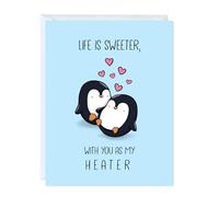 Funny Anniversary Card Birthday for Boyfriend, Wife, Girlfriend, Husband, Him Her, Partner - Punny Cute Love Greeting Card, Blank Inside (Life is Sweeter With You As My Heater)