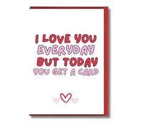 Funny Anniversary Card For Him Or Her I Love You Everyday A105