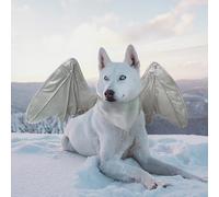 Funny Bat Wing Costumes for Dog, Cute Furry Pet Clothing for Halloween (Silver dragon wing, Size L)