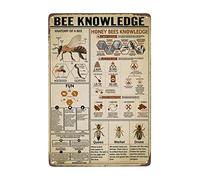 Funny Bee Knowledge Signs Honey Bees Knowlege Queen Worker Drone Vintage Bee Lovers Signs Retro Anatomy of A Bee Metal Tin Signs School Classroom Training Popular Science Knowledge 8x12 Inch
