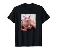 Funny Bingus My Beloved Hairless Sphinx Cat Bingus Cat Meme T-Shirt