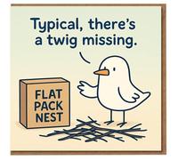 Funny Bird Flat Pack Nest Card - 'Typical, there's a twig missing' - Cartoon Humour Birthday Card for Friends, Him or Her