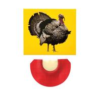 Funny Bird Pipe Toys, Noise Maker, Bird Whistle, Sound Maker - Bird Whistle in Bright Colours | Unique, Creative, Funny Noise Maker for April Fool's Day Birthday Parties