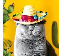 Funny Birthday/Blank Greeting Card For Him/Her - Male/Female - Cat wearing Sombrero Humorous Design - General Card Suitable for Any Occasion - Made in the UK - Eco-Friendly