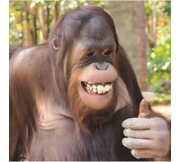 Funny Birthday/Blank Greeting Card For Him/Her - Male/Female - Humorous Orangutan Design - General Card Suitable for Any Occasion - Made in the UK - Eco-Friendly