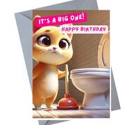 Funny Birthday Card, 30th, 40th, 50th, 60th, 70th - Cat with a plunger JBS38