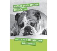 Funny Birthday Card, Birthday Card For Him, Birthday card For Her, Funny Card For Birthday, Another Year Another Birthday