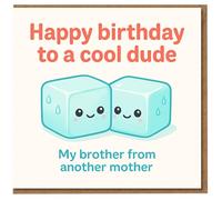 Funny Birthday Card for Brother from Another Mother - Happy Birthday to a Cool Dude - Cute Ice Cube Pun, Friend Card