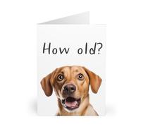 Funny Birthday Card for Dog Lovers - 'How Old?' Question with Cute Dog Image - Humorous Bday Celebration Card
